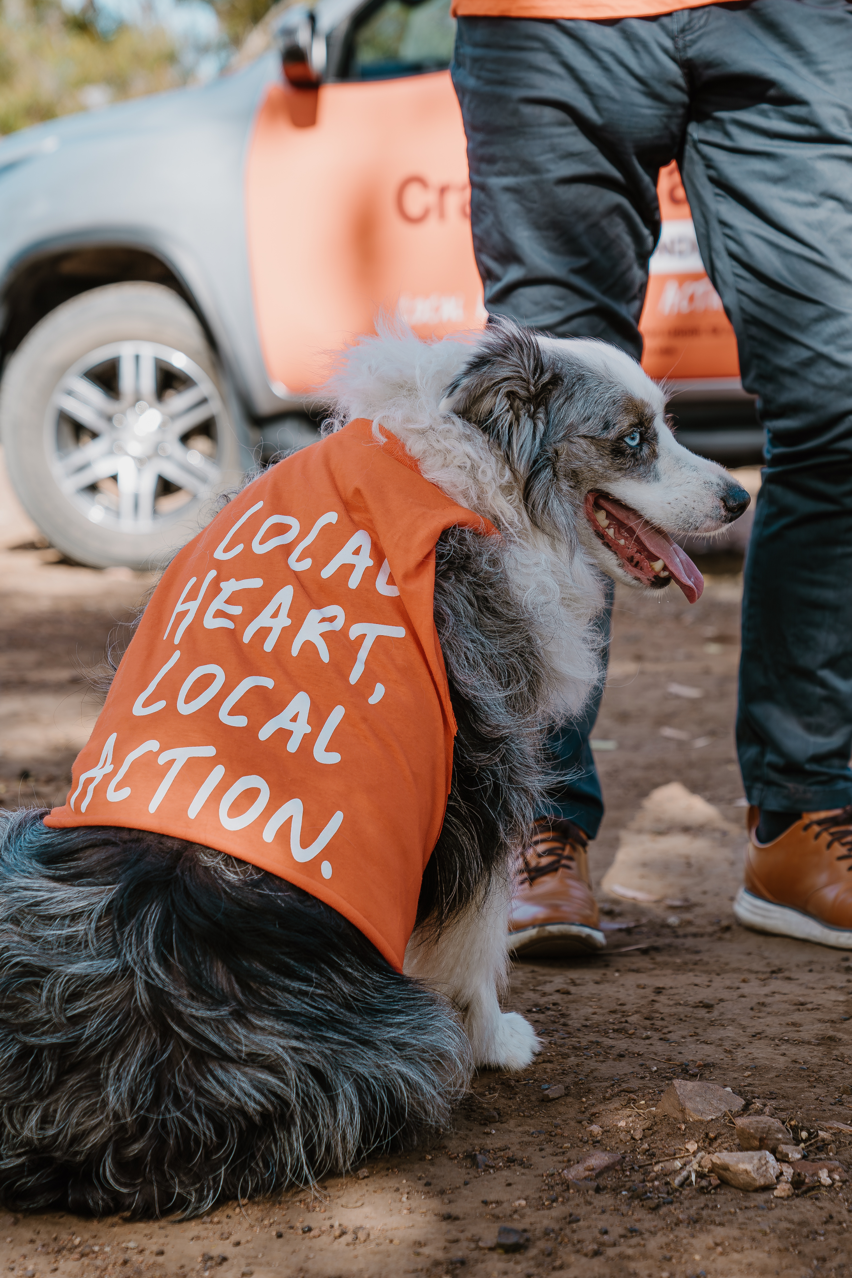 Graphic depicting a hexagonal cropped photo of an interior room design with grid lines along its borders.