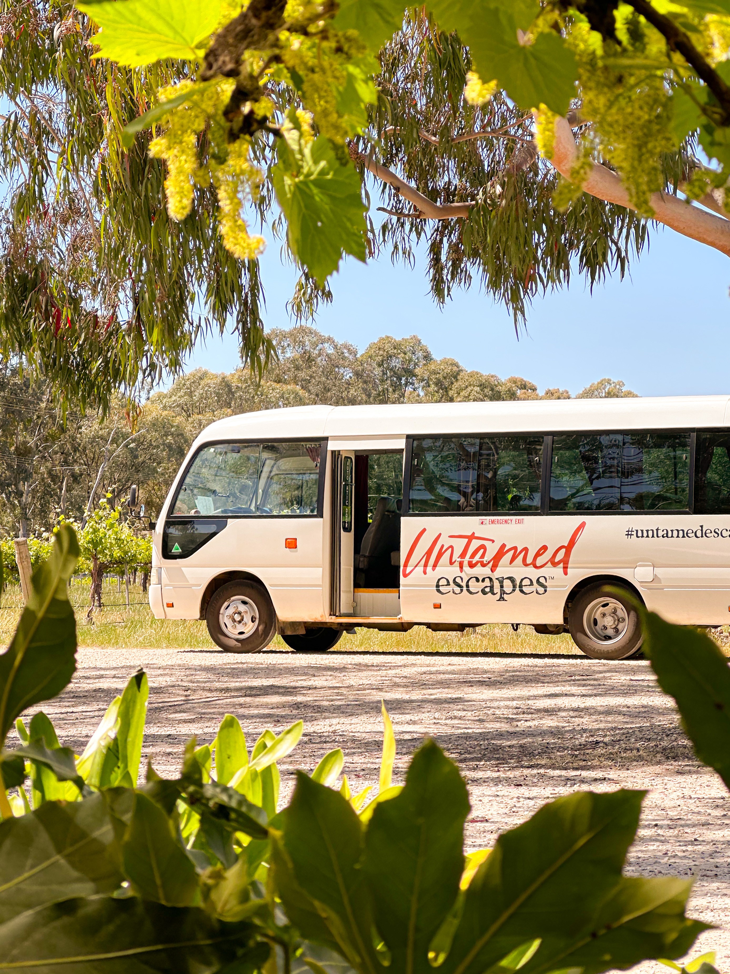 Graphic of a close up of a website depicting an Our Projects page with sample project names and dates.